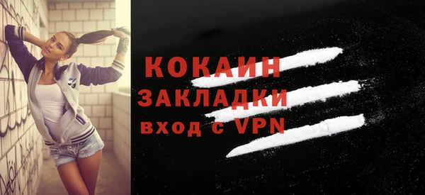 дживик Осинники