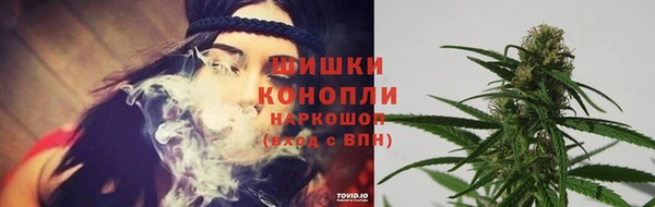 spice Няндома