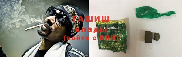 spice Няндома