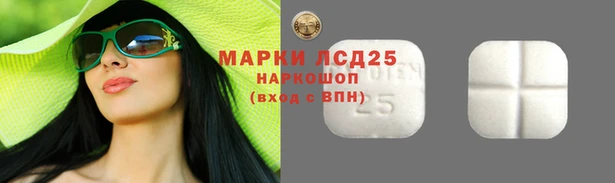 стафф Щигры