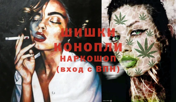 дживик Осинники