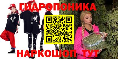 скорость Будённовск