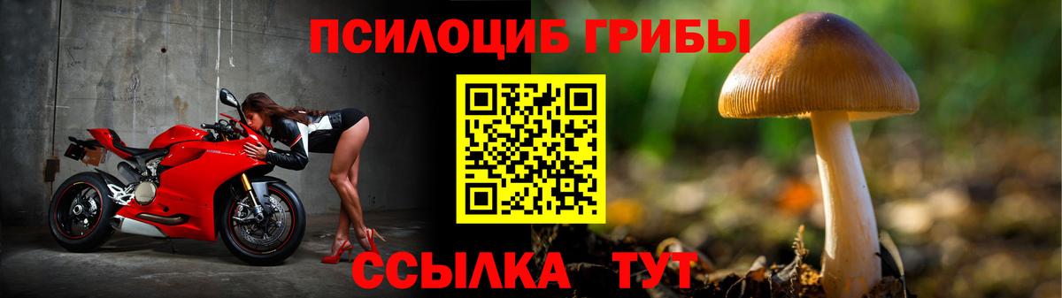 Галлюциногенные грибы Cubensis  Вход с VPN  где продают наркотики  Ртищево 